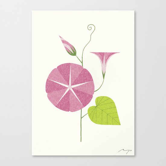 Morning Glory Canvas Print