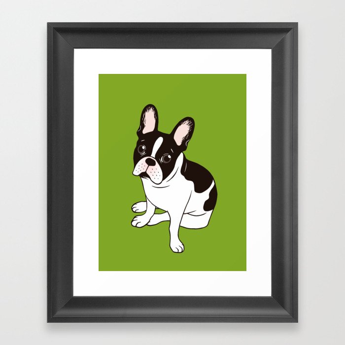 Cute double hooded pied French Bulldog wants your attention Framed