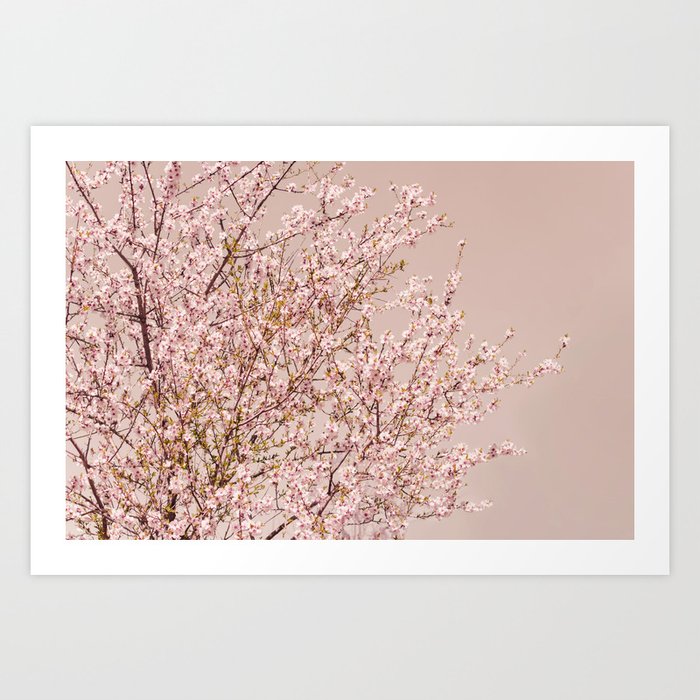 Flower photography - Spring Blossom Tree - Pink Floral Art Print