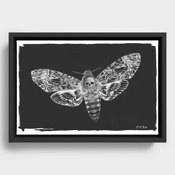 Death Moth Framed Canvas