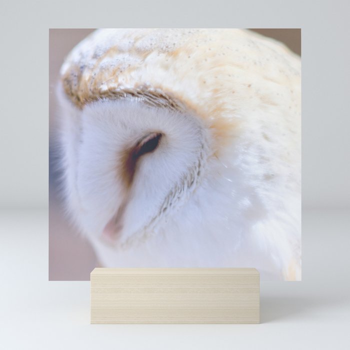 Sleepy Owl Mini Art Print