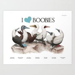 I Heart Boobies Art Print