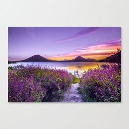 BROWN WOODEN DOCK BETWEEN LAVENDER FLOWER FIELD NEAR BODY OF WATER DURING GOLDEN HOUR Canvas Print