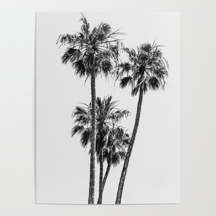 Lovely Palm Trees | monochrome  Poster