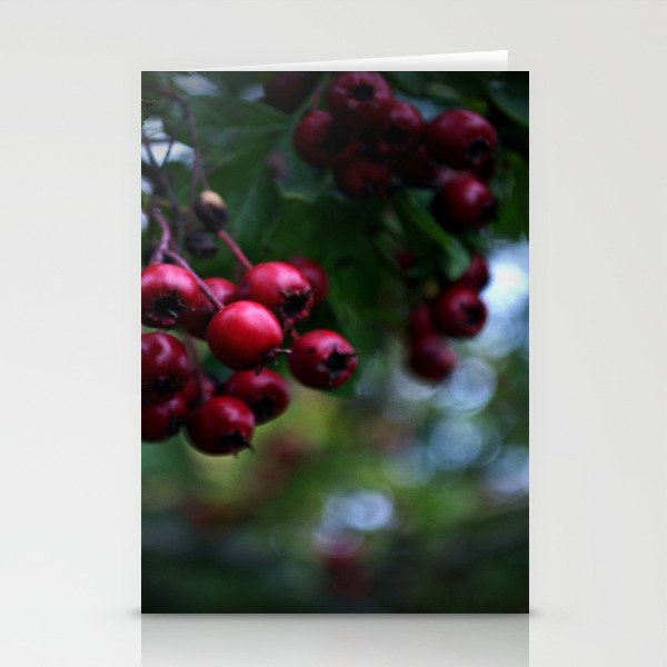 Pyracantha Stationery Cards