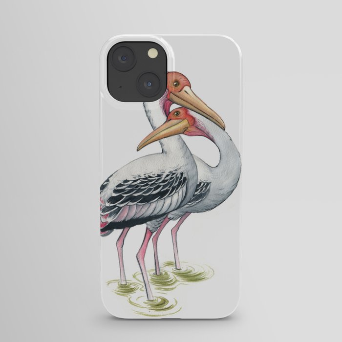 Painted Stork (Mycteria leucocephala) iPhone Case