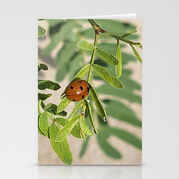 Ladybug on Leaf Stationery Cards