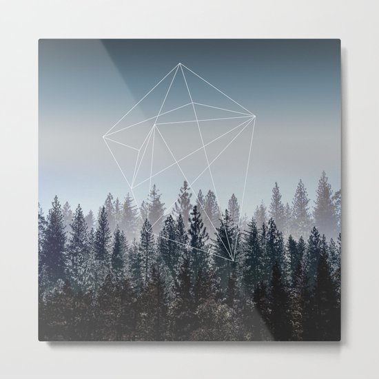 Woods Metal Print