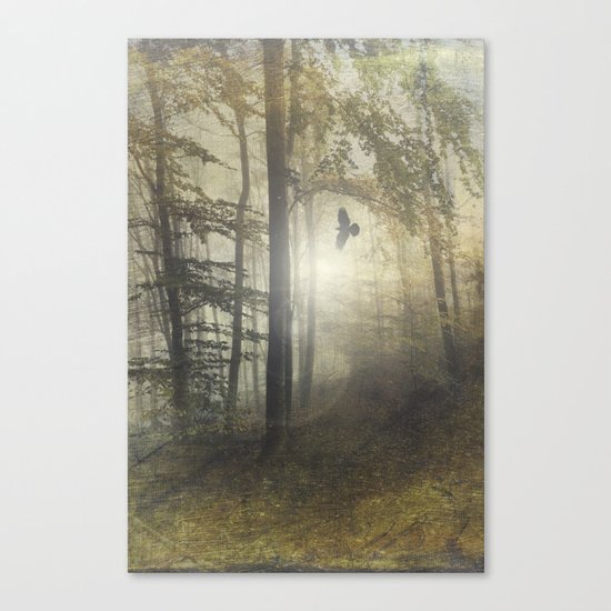 Tales from the Past Canvas Print