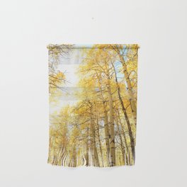 Morning Aspens In Autumn Wall Hanging