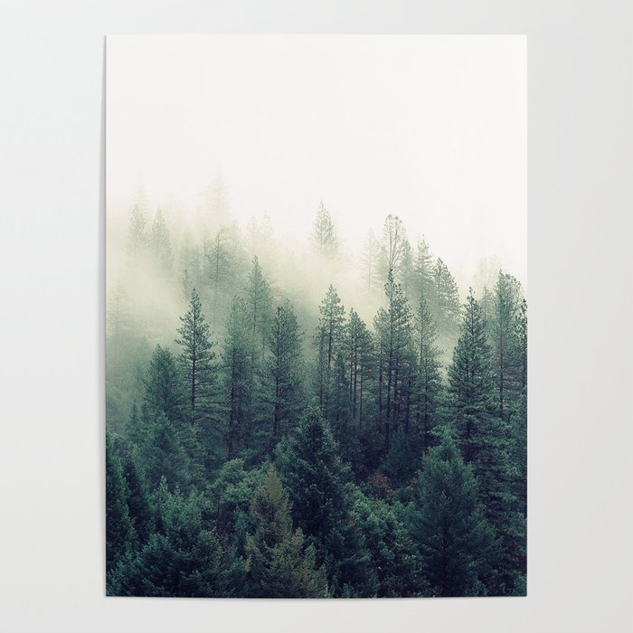 Foggy Winter Forest Poster