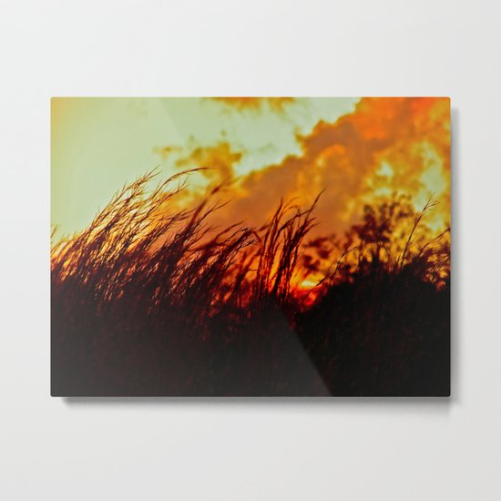 Sunset Brings the Wind Metal Print