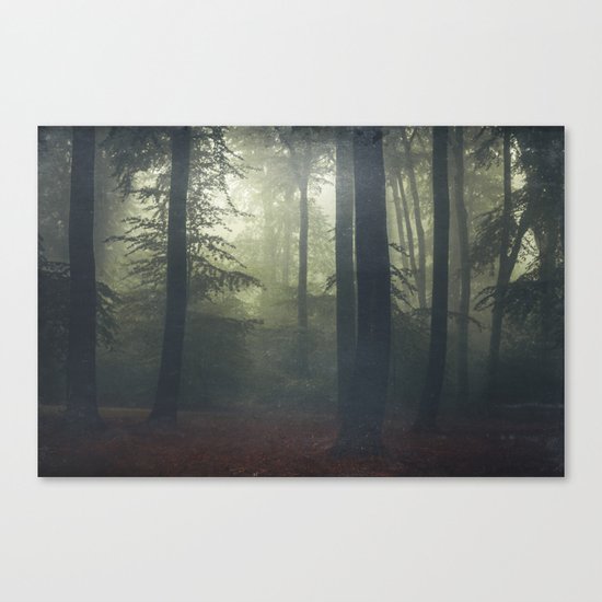 Déjà Vu Canvas Print