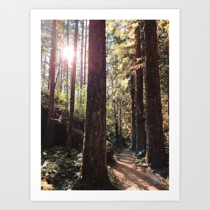 Pacific Northwest Trail Hike Art Print