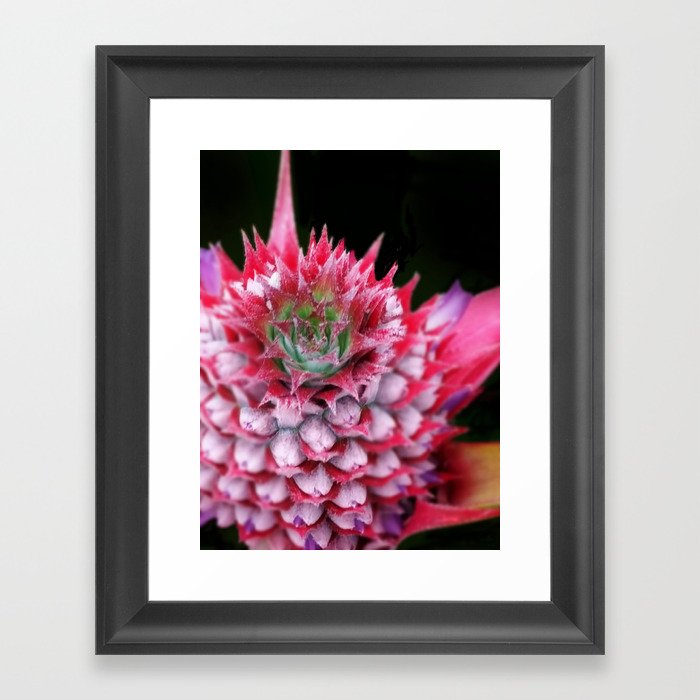 Pink Pineapple Framed Art Print