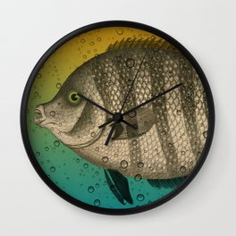 Big Fish with Water Drops Wall Clock