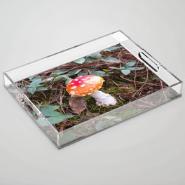 Cute small red and white mushroom Acrylic Tray