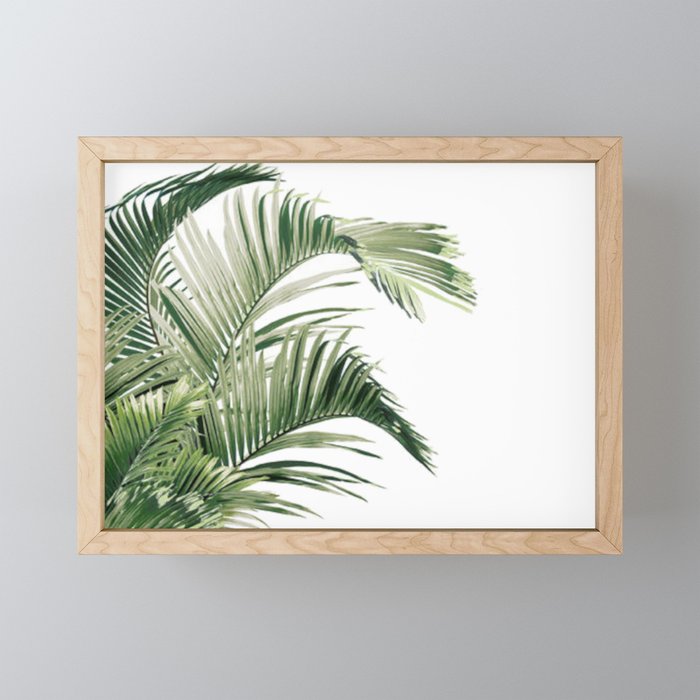 A Little Coconut Tree Framed Mini Art Print