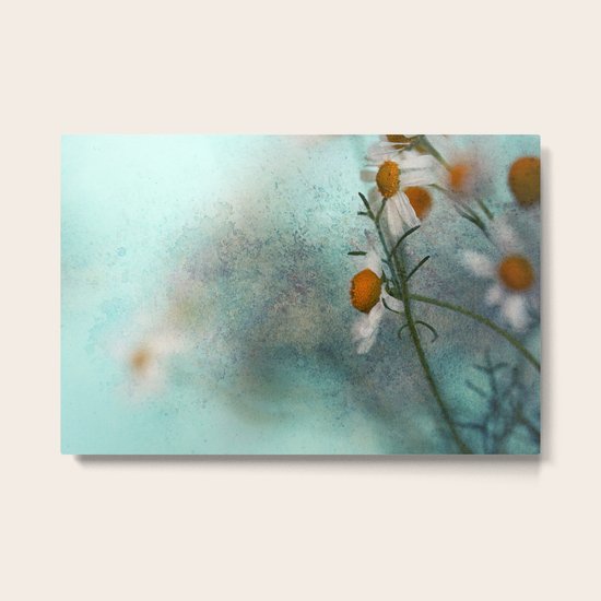 Daisies Metal Print