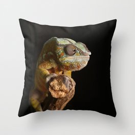 Comma Chameleon Throw Pillow