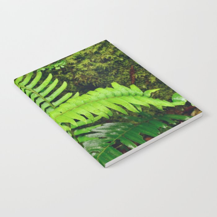 Tropical rain falling on fern leaves Notebook