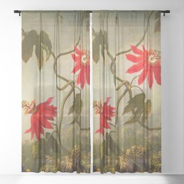 Midnight Passion Flower in a Jungle Sheer Curtain