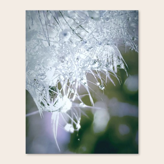 Grace Canvas Print