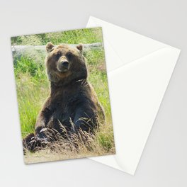 Teddy Stationery Cards