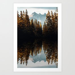 Reflection Pine Trees Art Print