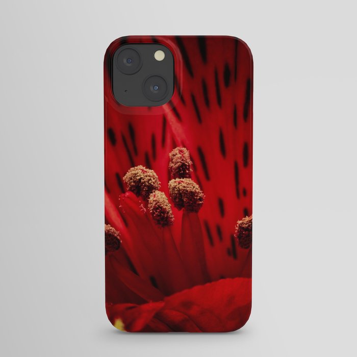 center stage iPhone Case