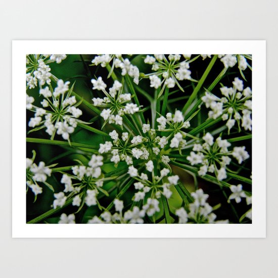 Falling Into Flowers Art Print