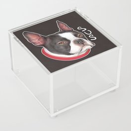 Sus Dog Acrylic Box