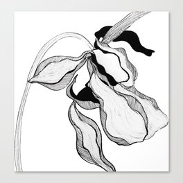 Sketched black and white Orchid Canvas Print
