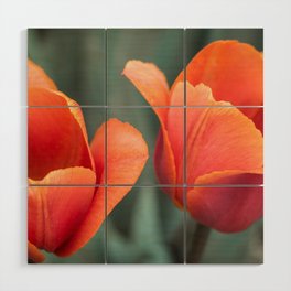 Two Tulips Wood Wall Art