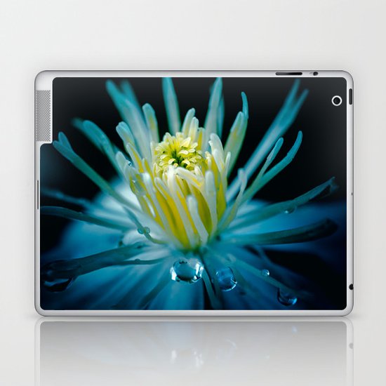 Release me Laptop & iPad Skin