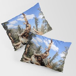 Oldest living things on earth Pillow Sham