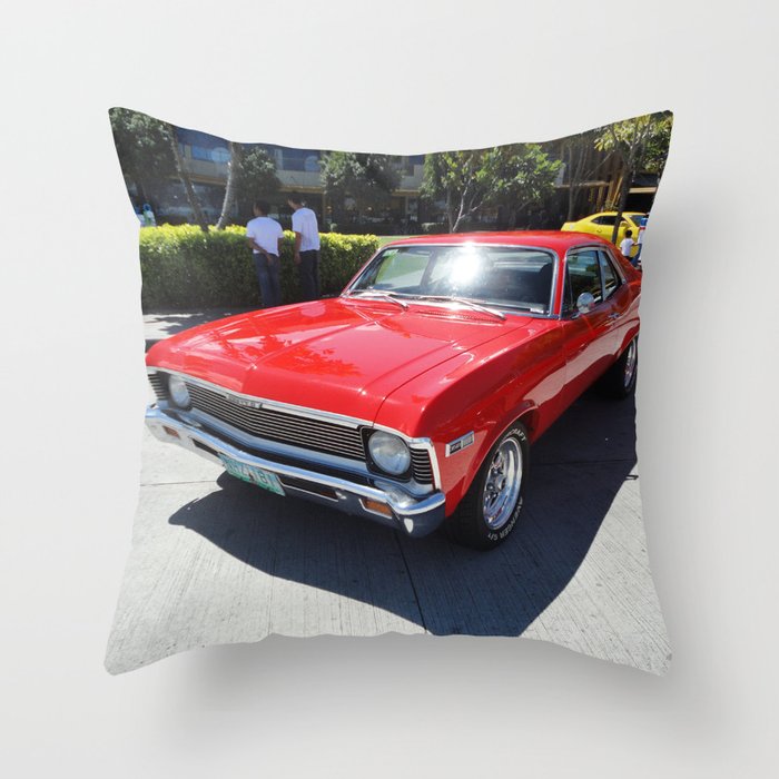 Throw Pillow