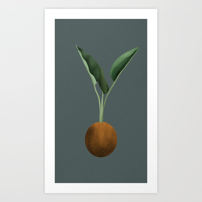 Leaves in coconut Art Print