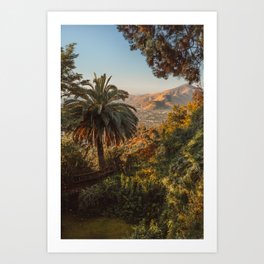 Santiago Chile from San Cristóbal Hill Art Print | Chile, Cityscape, Tropical, Summer, Nature, Landscape, Southamerica, Earth, Palmtree, City 