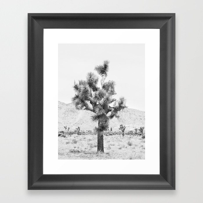 Twisted Joshua Tree - Black and White Photography Framed Art Print