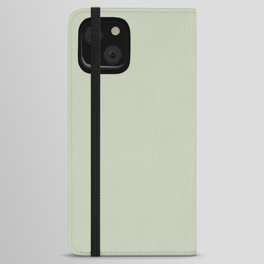 Light Gray-Green Solid Color Pantone Tender Greens 13-0212 TCX Shades of Green Hues iPhone Wallet Case
