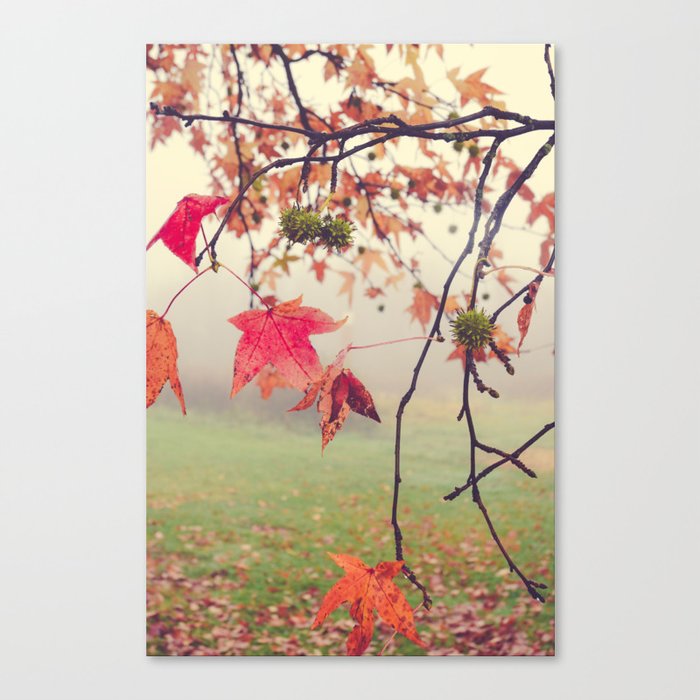 Autumn Dreams - fall color nature photograph Canvas Print