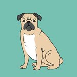 pug world