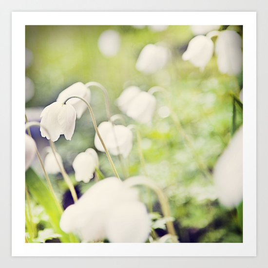 Spring miracles Art Print