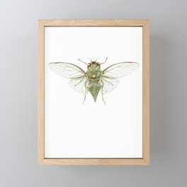Kihikihi / Cicada Framed Mini Art Print