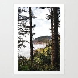 Oregon Coast Cliffs  Art Print