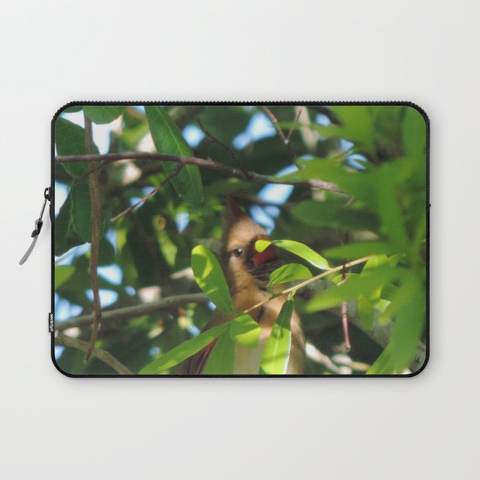 Mrs. Cardinal Laptop Sleeve