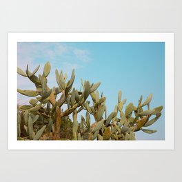cactus Art Print