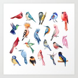 Watercolor Birds, Tropical Birds, Cardinals Hummingbirds Cockatoos and Hummingbirds Art Print