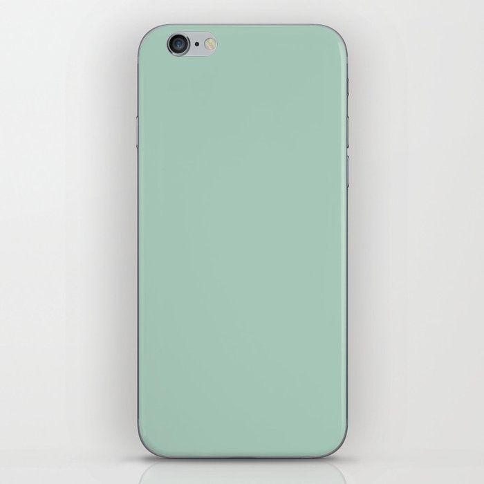 Light Aqua Green Gray Solid Color Pantone Mist Green 13-6110 TCX Shades of Blue-green Hues iPhone Skin